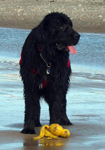 Jake Ward 2008